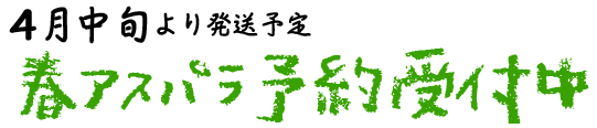 4月中旬より春アスパラ予約受付中